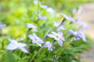 杏林ワコー薬局